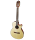 Guitarra eletroacústica Ibanez modelo AEG50 NT com cordas de nylon