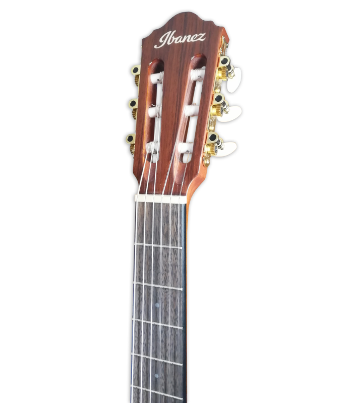 Cabeça da guitarra eletroacústica Ibanez modelo AEG50 NT