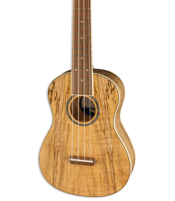 Tampo em spalted maple do Ukulele concerto Fender modelo Zuma WN Exotic