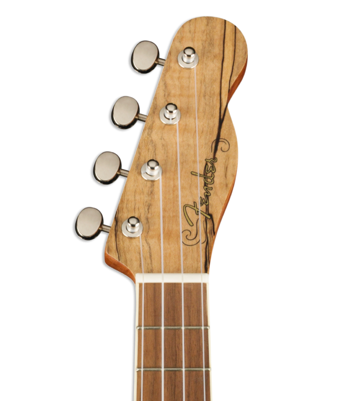 Cabeza del ukelele concierto Fender modelo Zuma WN Exotic