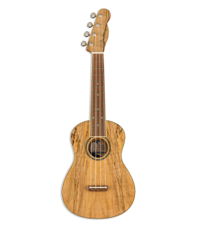 Concert ukulele Fender model Zuma WN Exotic Spalted Maple