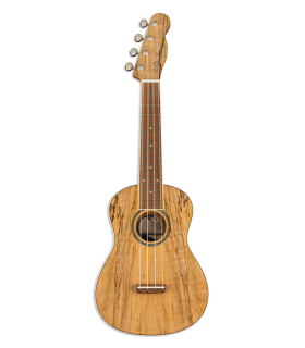 Ukelele concierto Fender modelo Zuma WN Exotic Spalted Maple