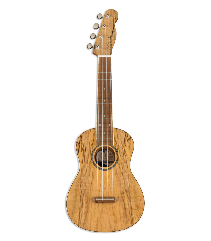 Ukulele concerto Fender modelo Zuma WN Exotic Spalted Maple