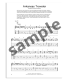 Sample of the book First 50 Bluegrass Solos You Should Play on Guitar HL
