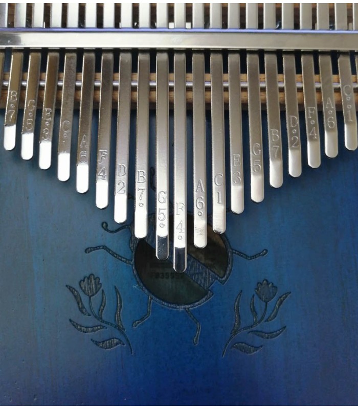 Detail of the soundhole and keys of the kalimba Gewa model F835552