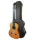 Classical guitar Luthier Teodoro Perez model Madrid with case