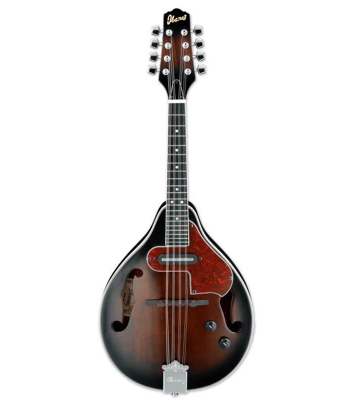Bandolim elétrico Ibanez modelo M510E-DVS na cor Dark Violin Sunburst e com acabamento de alto brilho