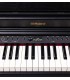 Detalhe dos controlos do piano digital Roland modelo RP701 preto