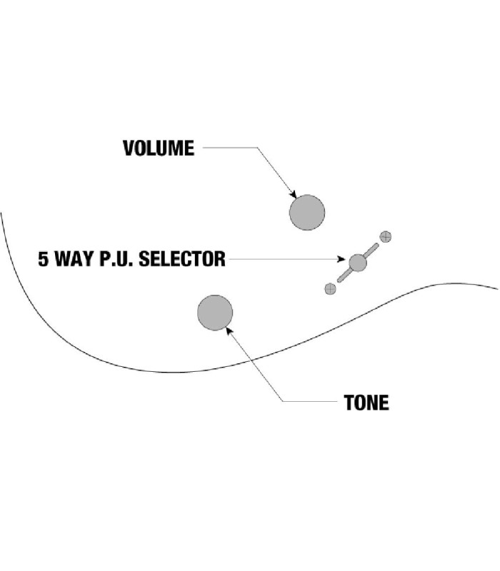 Controls infographics of the electric guitar Ibanez model RGA742FM TGF