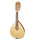 Mandolin Artimúsica model BDBASET Tradicional Base