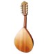 Fondo y aros en acacia de la mandolina Artimúsica modelo BDBASET Tradicional Base