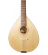 Linden top of the mandolin Artimúsica model BDBASET Tradicional Base