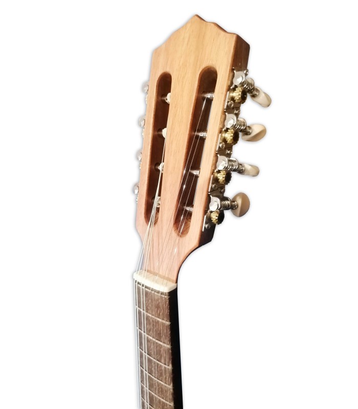 Cabeza de la mandolina Artimúsica modelo BDBASET Tradicional Base