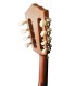 Machine head of the mandolin Artimúsica model BDBASET Tradicional Base