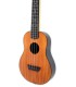 Acacia top of the concert ukulele Flight model TUC 55 Travel