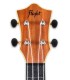 Head of the concert ukulele Flight model TUC 55 Travel