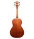 Okoume back and sides of the electroacoustic bass guitar Ibanez model PNB14E OPN Parlor