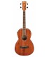 Guitarra bajo electroacústico Ibanez modelo PNB14E OPN Parlor con tapa en Okoume
