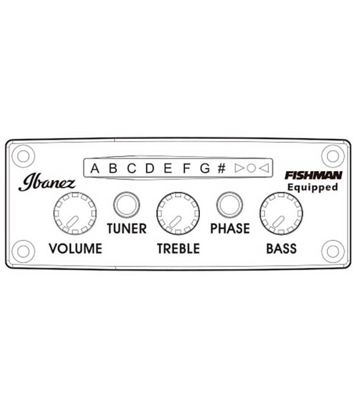 Controls diagram of the electroacoustic guitar Ibanez model TOD10N TKF Tim Henson Signature