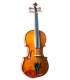 Tampo em spruce (abeto) maciço do violino Stentor modelo Student I de tamanho 1/10