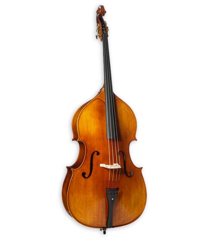 Double bass Corina model Duetto of 3/4 size and with a solid spruce top