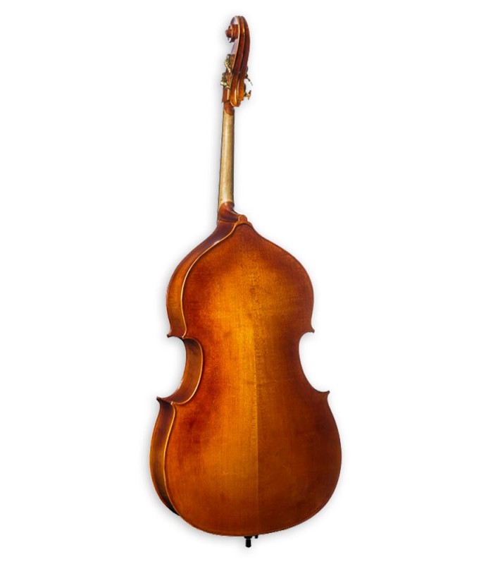 Maple back of the double bass Corina model Duetto of 3/4 size