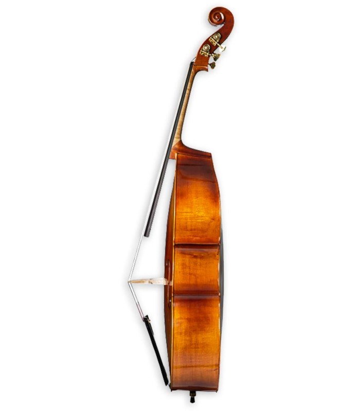 Ilhargas em maple (bordo) do contrabaixo de cordas Corina modelo Duetto de tamanho 3/4