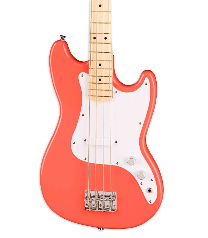 Cuerpo en álamo de la guitarra bajo Fender Squier modelo Bronco Bass MN TCO