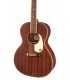 Sapele top of the acoustic guitar Gretsch model Jim Dandy Concert
