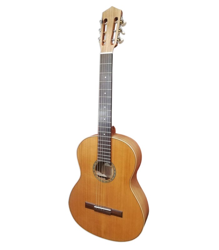 Viola de Fado Artimúsica model VF50C Simple with a solid cedar top, steel strings and with gloss finish