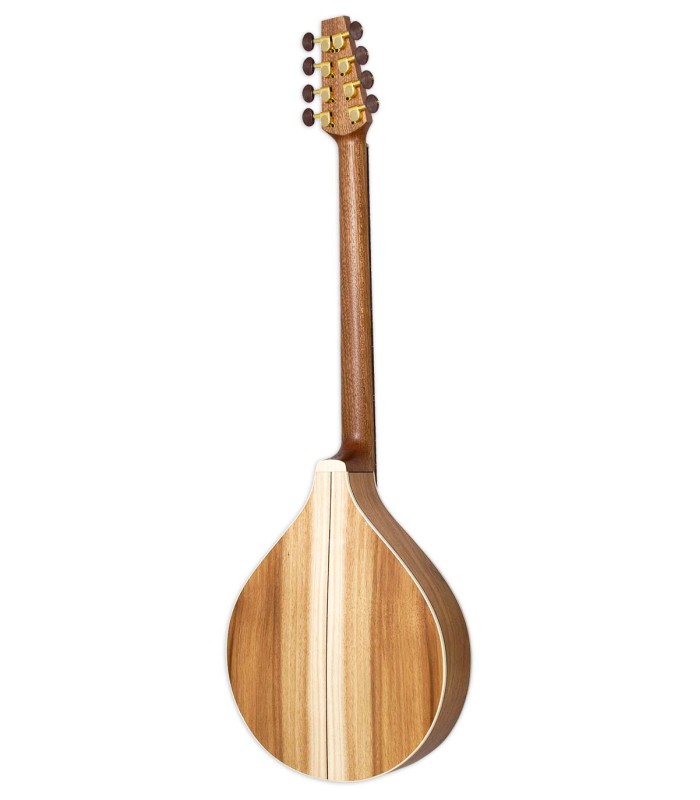 Fondo y aros en Koa del bouzouki Irlandés APC modelo IRB308