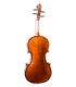 Solid maple back and sides of the violin Gliga model Genial I