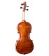 Maple back and sides of the violin Corina model Duetto