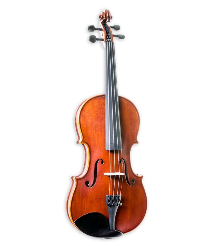 Violinos no Salão
Musical
