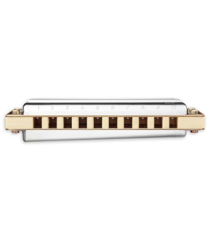 Detail of the bamboo comb of the harmonica Hohner model Thunderbird in Low D 2011 20D Low