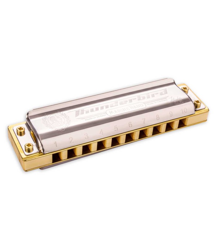 Harmonica Hohner model Thunderbird in Low D 2011 20D Low