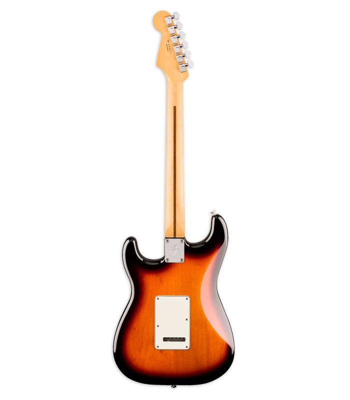 Back of the electric guitar Fender model Player Strat MN 2TS