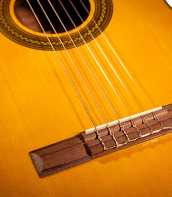 Detalle de la tapa en abeto y del puente de la guitarra clásica Takamine modelo GC1CE con cutaway natural