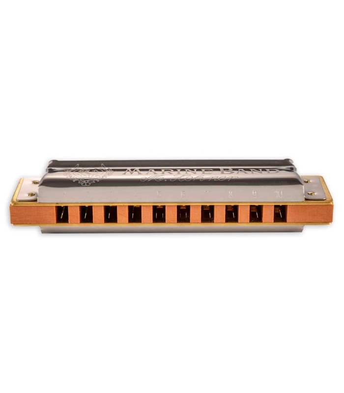 Comb detail of the harmonica Hohner model Marine Band in B 1896 20 B