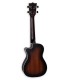 Back and sides of the concert ukulele Flight model DUC380 CEQ Gemstone Amber electroacoustic
