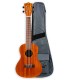 Concert ukulele Flight model NUC250 in acacia with bag