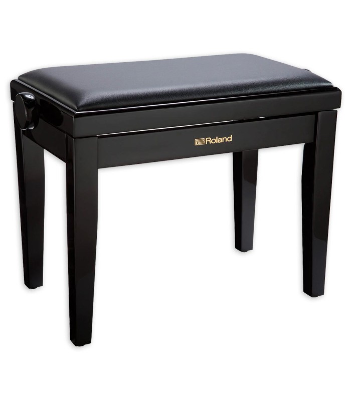 Bench Roland model RPB200 PE rectangular with adjustable height in  black color and polished finish