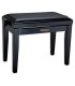 Bench Roland model RPB200 rectangular with adjustable height in black color and with mate finish