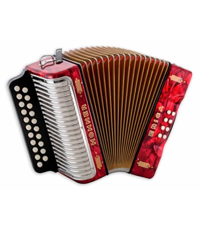 Concertina Hohner modelo Erica com 8 baixos e 2 vozes com afinações GC (Sol-Dó)