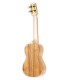 Solid Acacia back and sides of the concert ukulele Carvalho model Branch C KK
