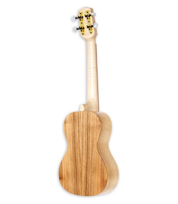 Fundo e aros em Acácia maciça do ukulele concerto Carvalho modelo Branch C KK