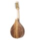 Walnut back and sides of the mandolin Carvalho model Root MDL SW
