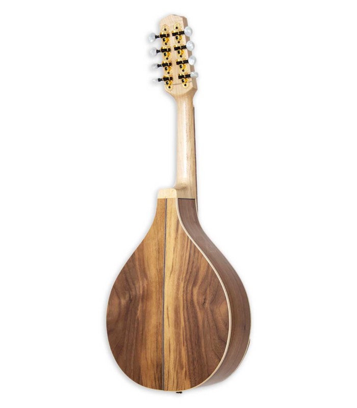 Walnut back and sides of the mandolin Carvalho model Root MDL SW