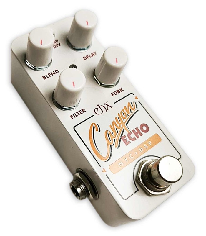 Electro-Harmonix
Pico Canyon Echo no Salão Musical