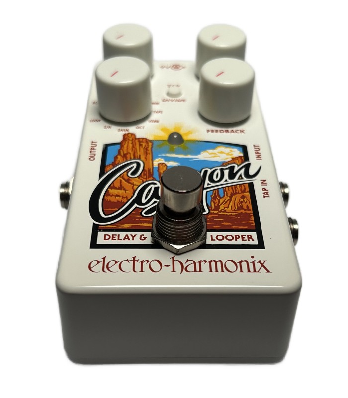 Bottom view of the Electro-Harmonix Canyon delay and looper pedal featuring footswitch and durable metal housing